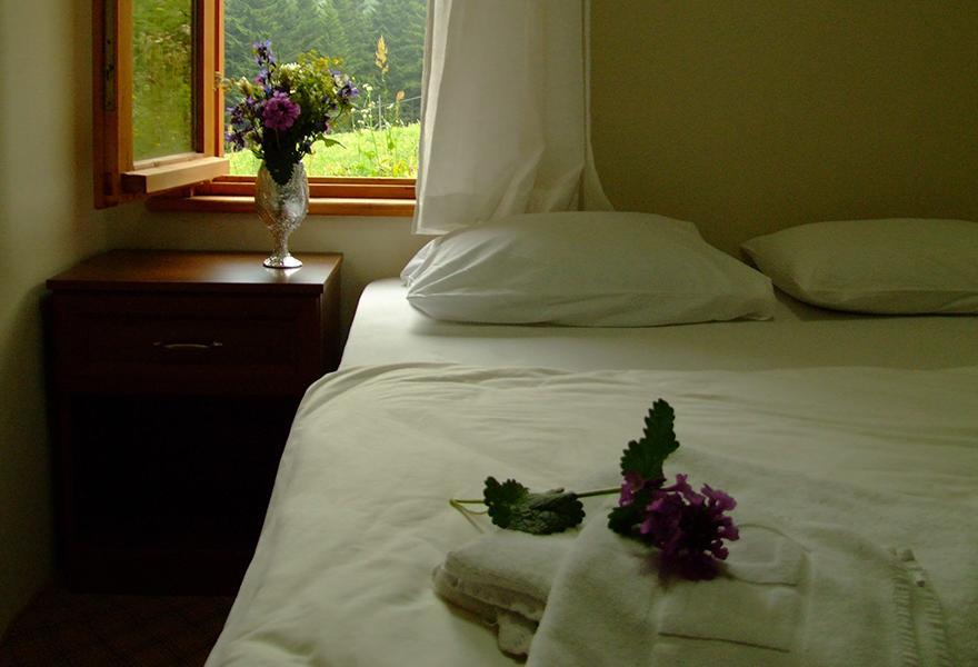 Resort Zitas Zigana Yayla Tatil Koyu 3*