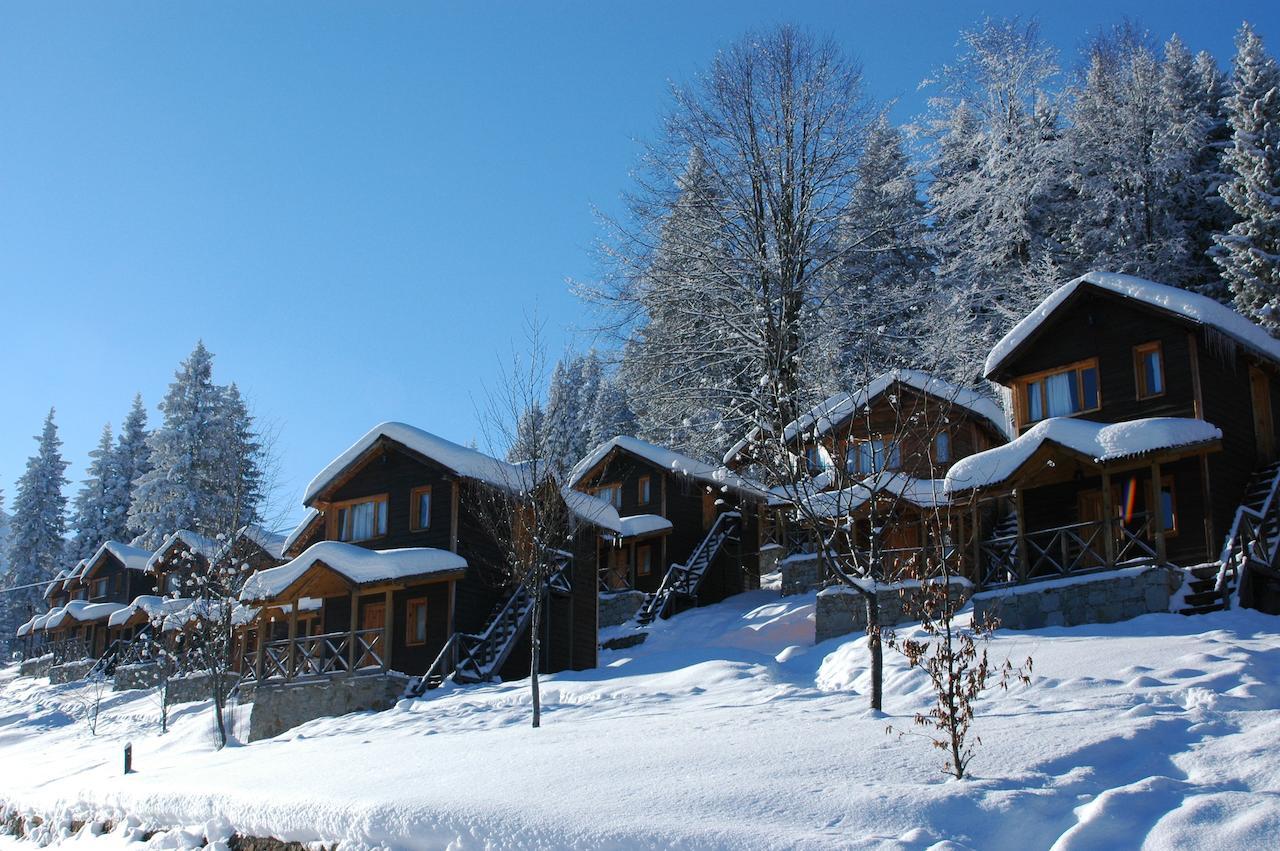 Resort Zitas Zigana Yayla Tatil Koyu Macka