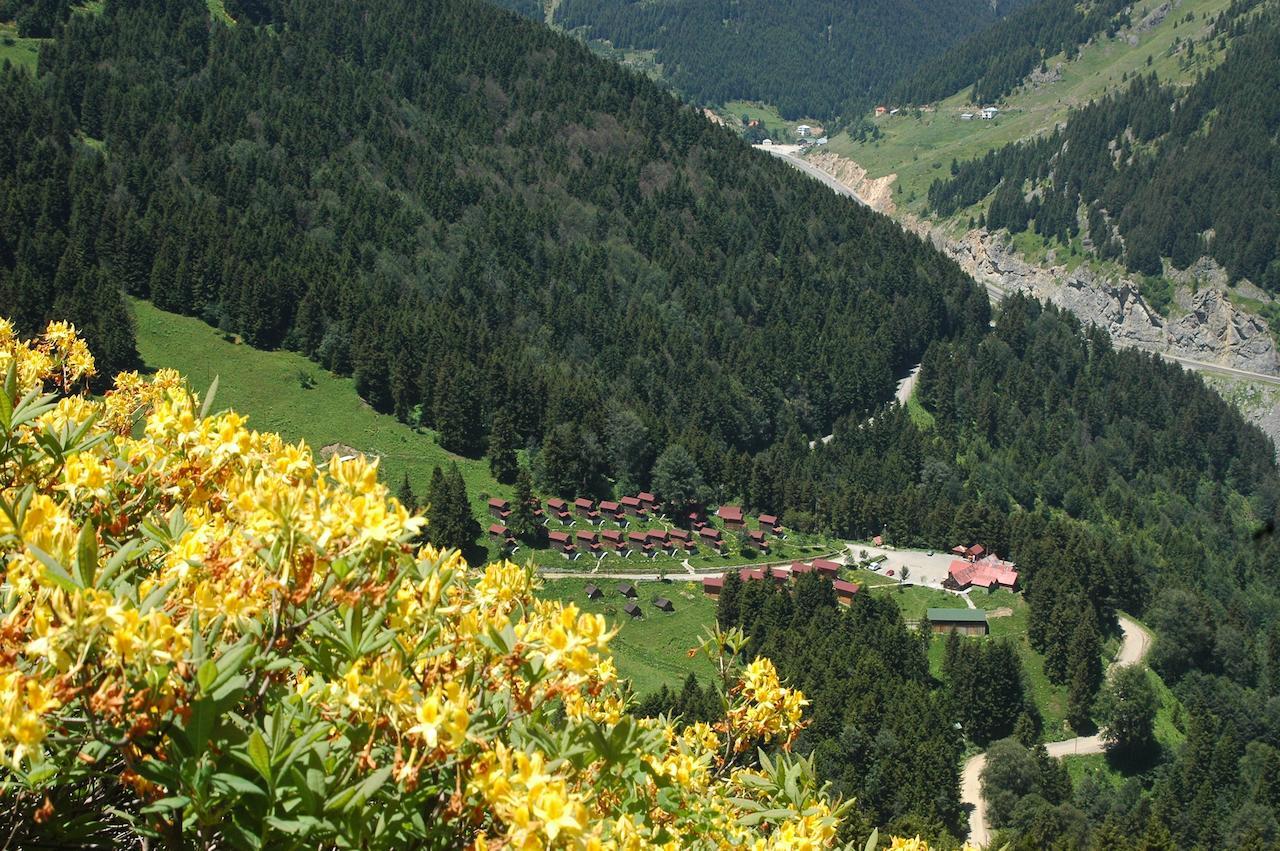 Zitas Zigana Yayla Tatil Koyu Resort