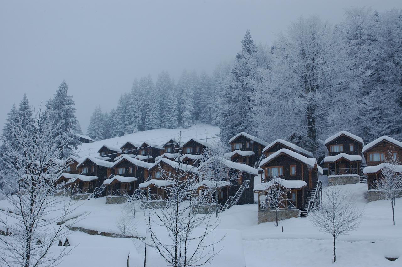 Resort Zitas Zigana Yayla Tatil Koyu Macka