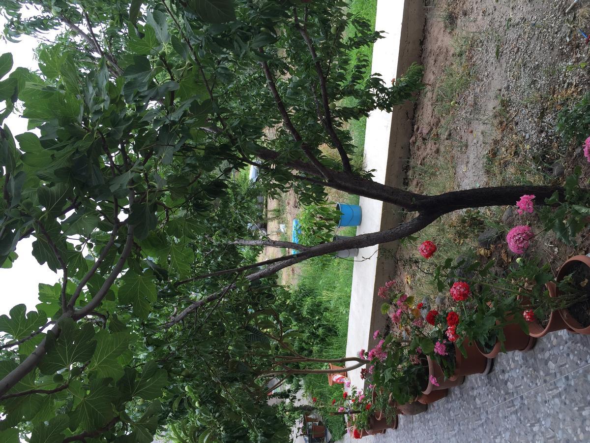 Hotel Sivrice Tas Assos