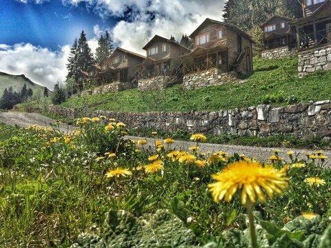 Zitas Zigana Yayla Tatil Koyu 3*