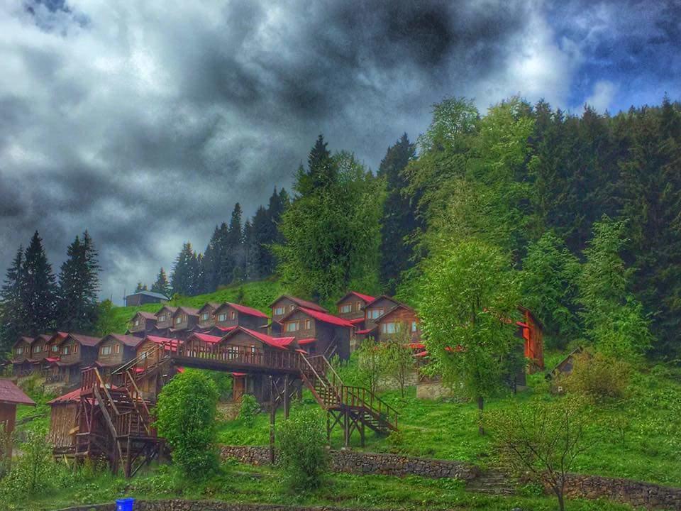 Zitas Zigana Yayla Tatil Koyu 3*