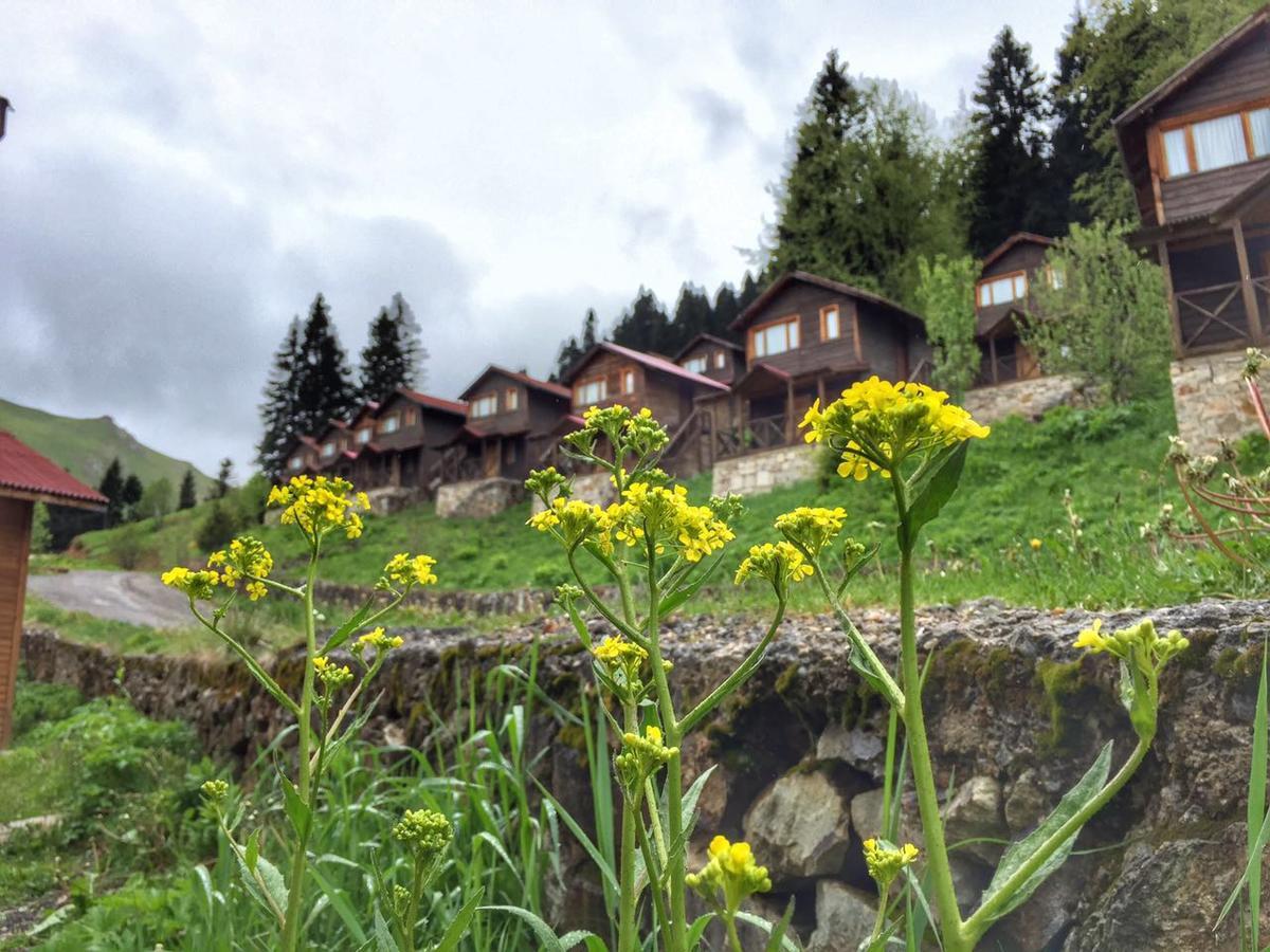 Zitas Zigana Yayla Tatil Koyu Resort