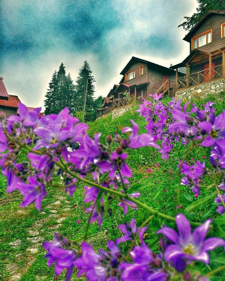 Zitas Zigana Yayla Tatil Koyu Resort 3*