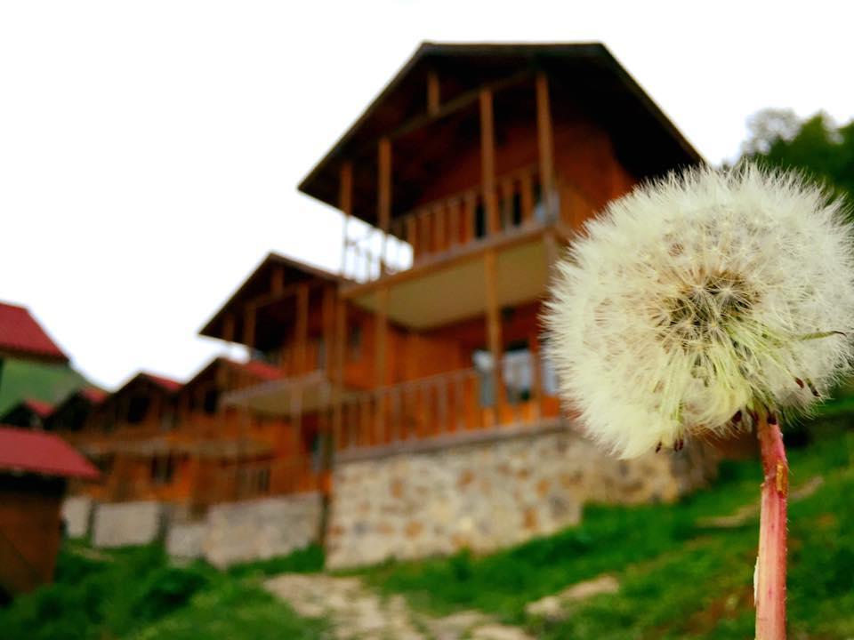 Zitas Zigana Yayla Tatil Koyu 3*
