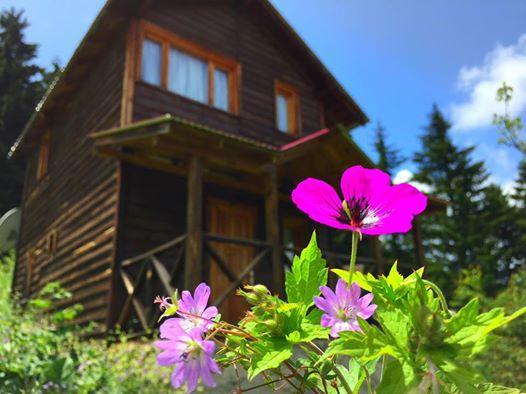 Zitas Zigana Yayla Tatil Koyu Macka