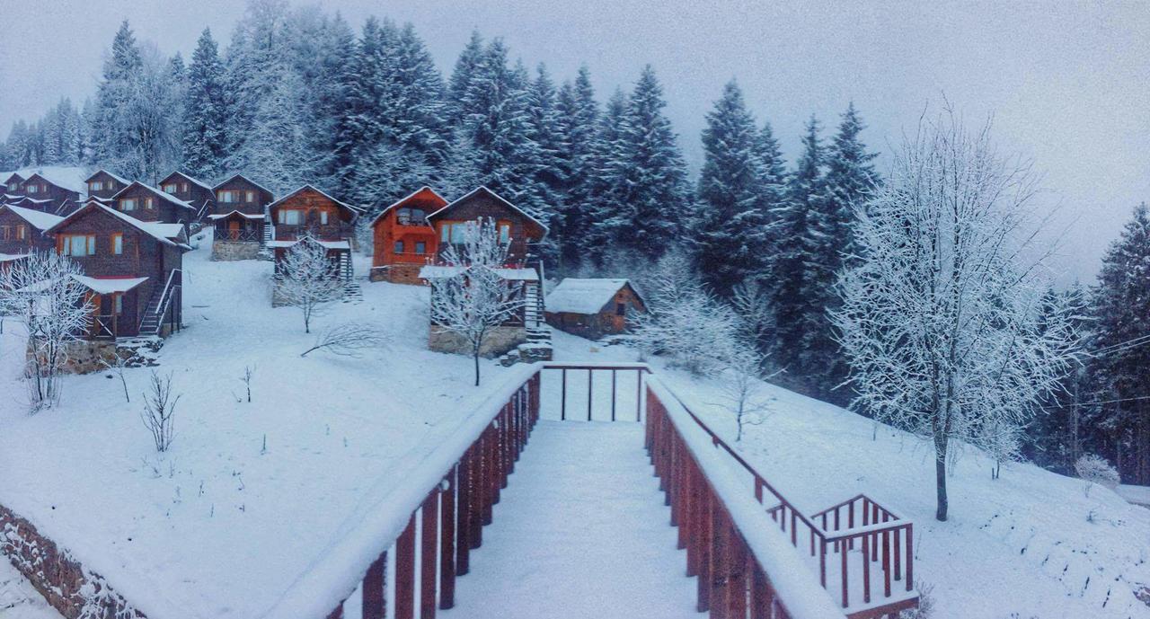 Zitas Zigana Yayla Tatil Koyu