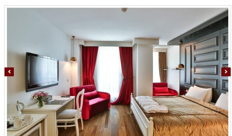 Hotel Senatus - Special Class