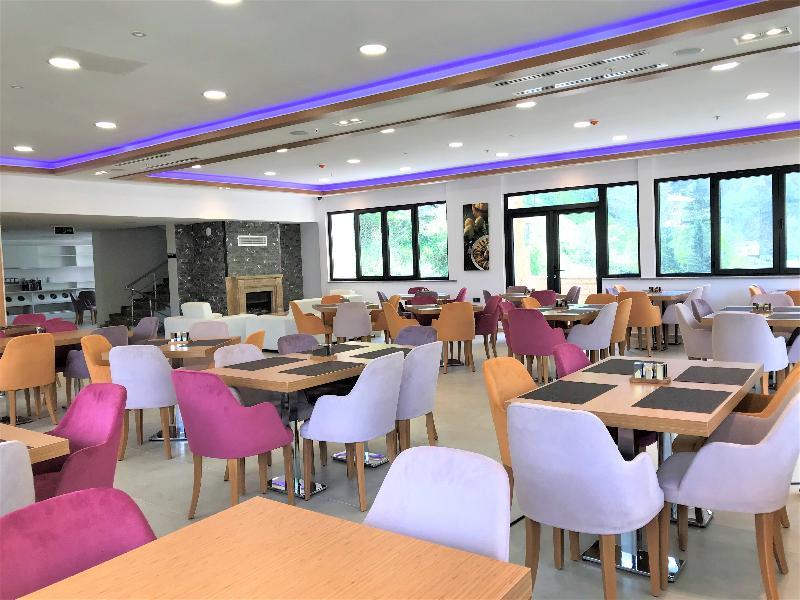 Hotel Golden Uzungol