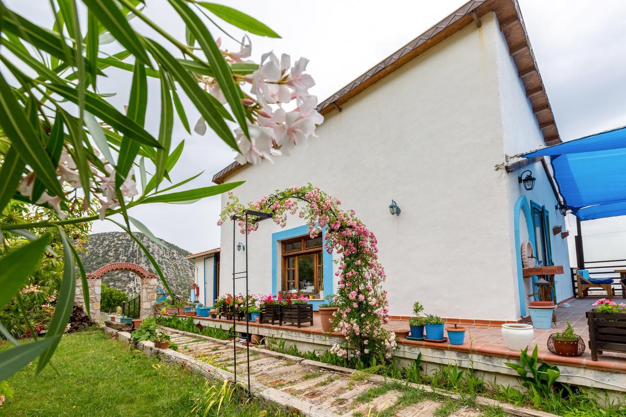 Mavi Keci Hotel