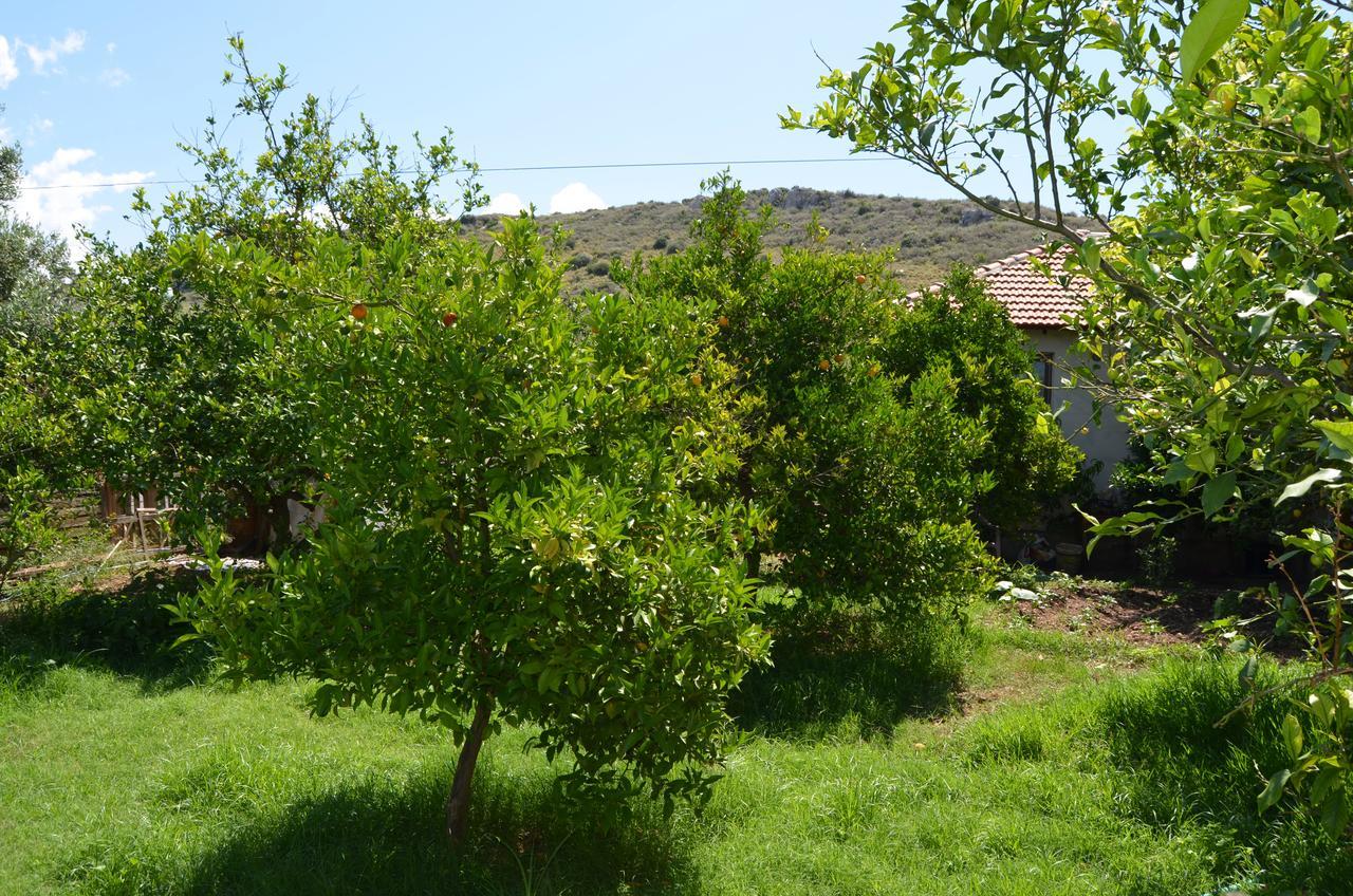 Beyoglu Patara