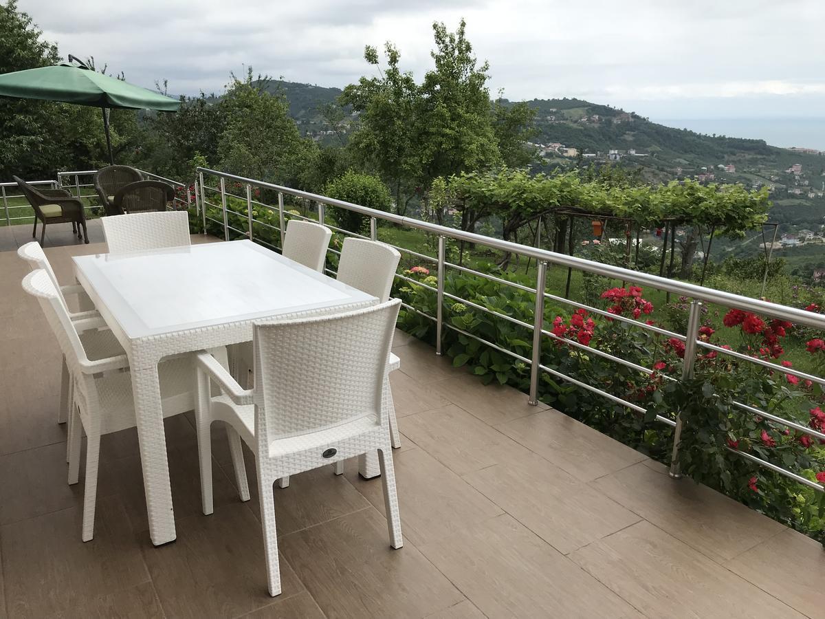 Villa Sea & Nature Hisar