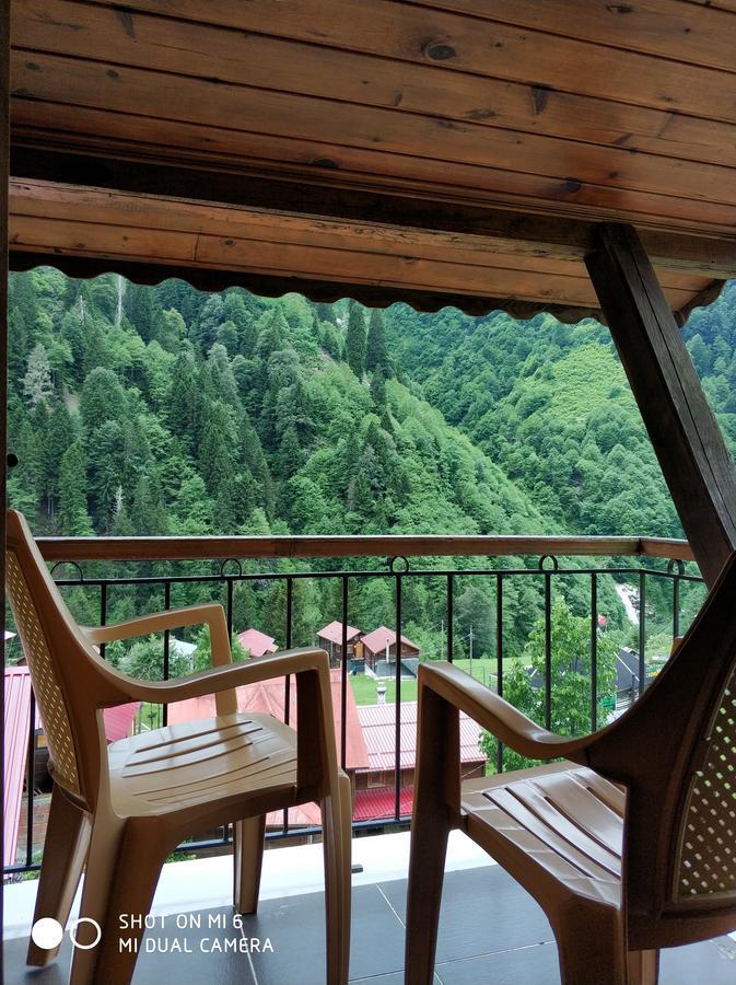 Koru Hotel 3*