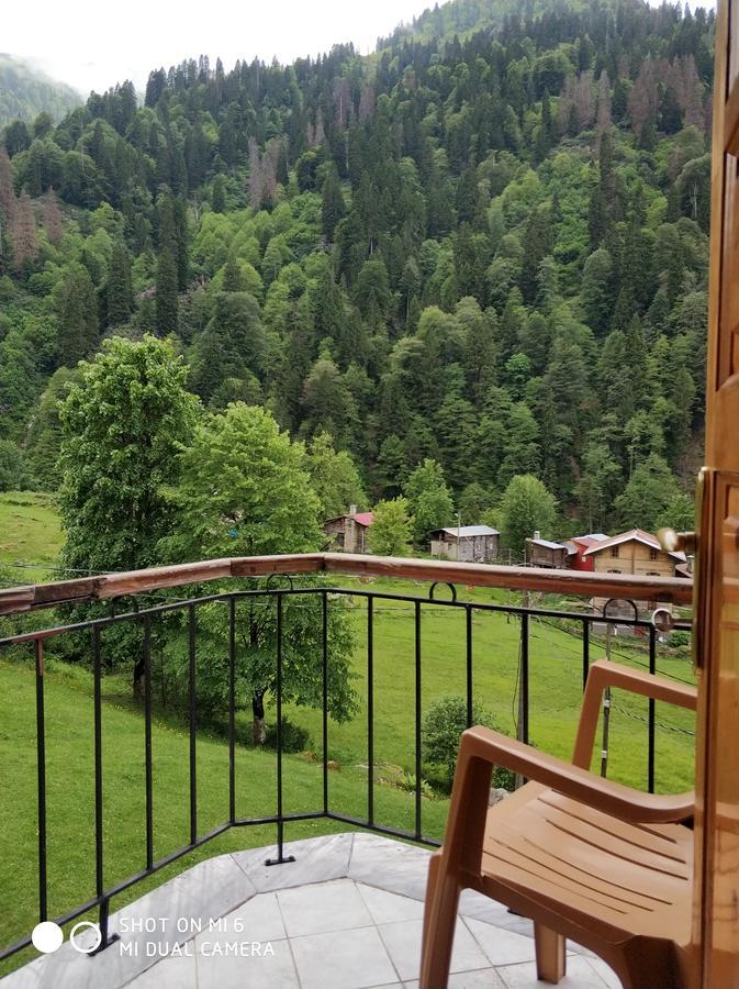 Hotel Koru 3*