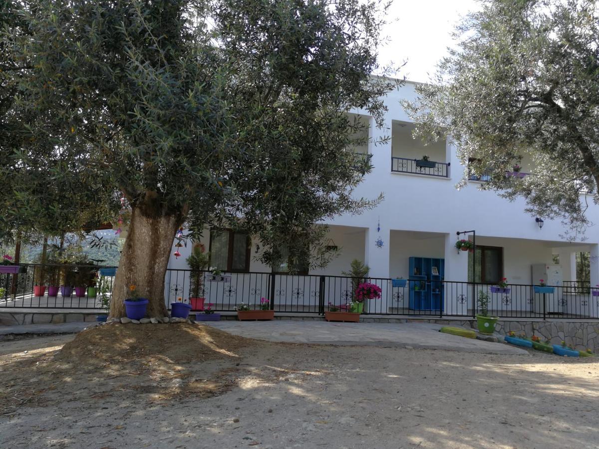 Kaymak Tepesi Tatil Evi Kucukkuyu