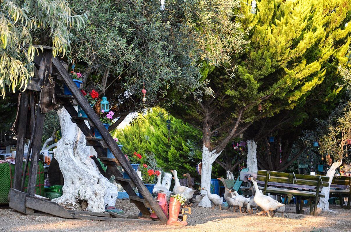 Bed & Breakfast Kaymak Tepesi Tatil Evi Kucukkuyu