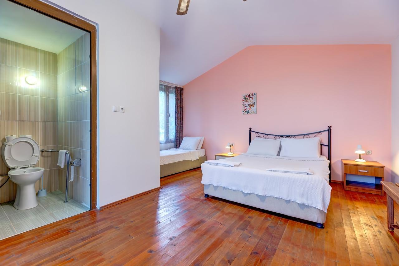 Guest house Terrace 2*