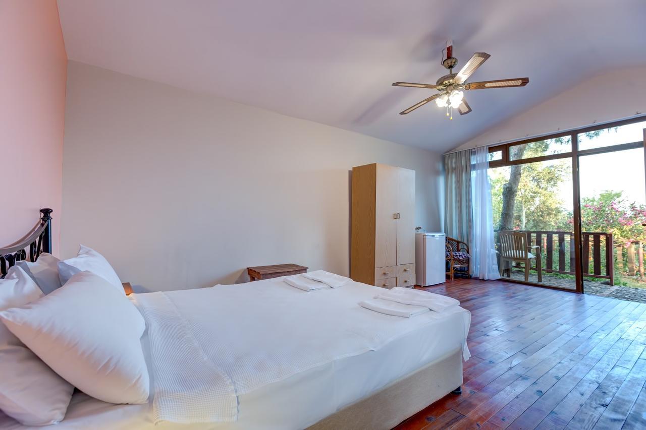 Terrace Guest house