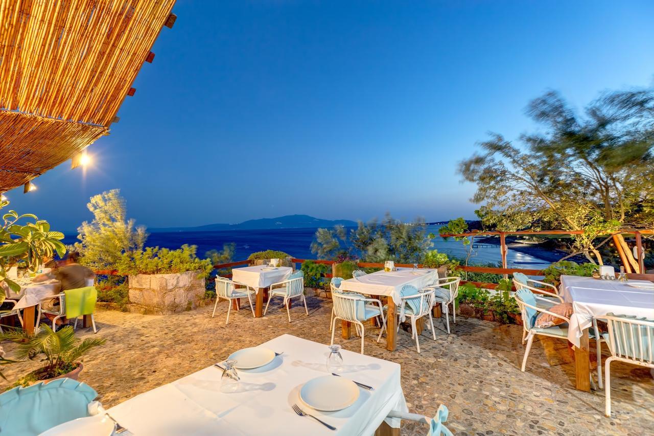 Guest house Terrace 2*