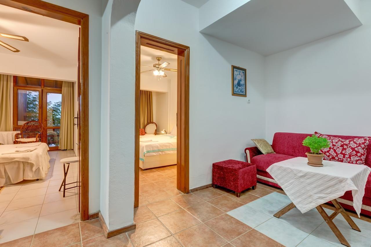 Guest house Terrace 2*