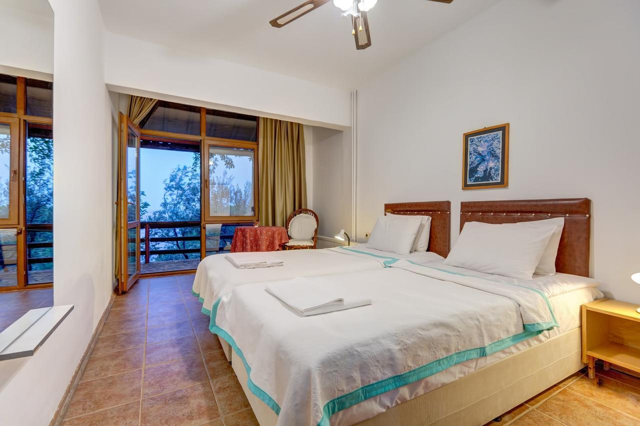 Terrace Guest house