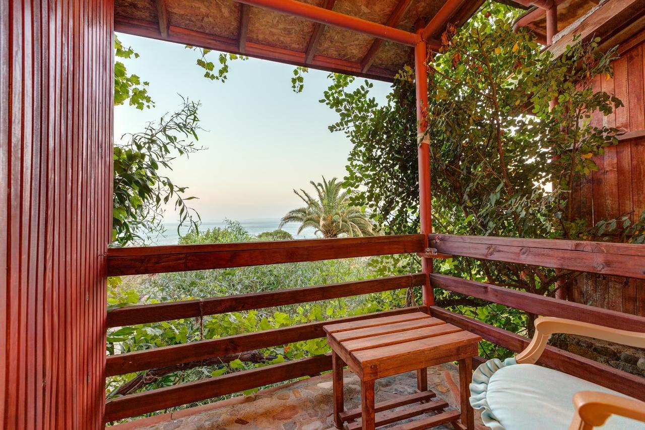 Guest house Terrace