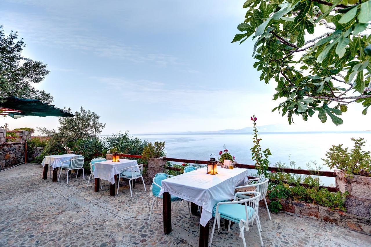Terrace Guest house