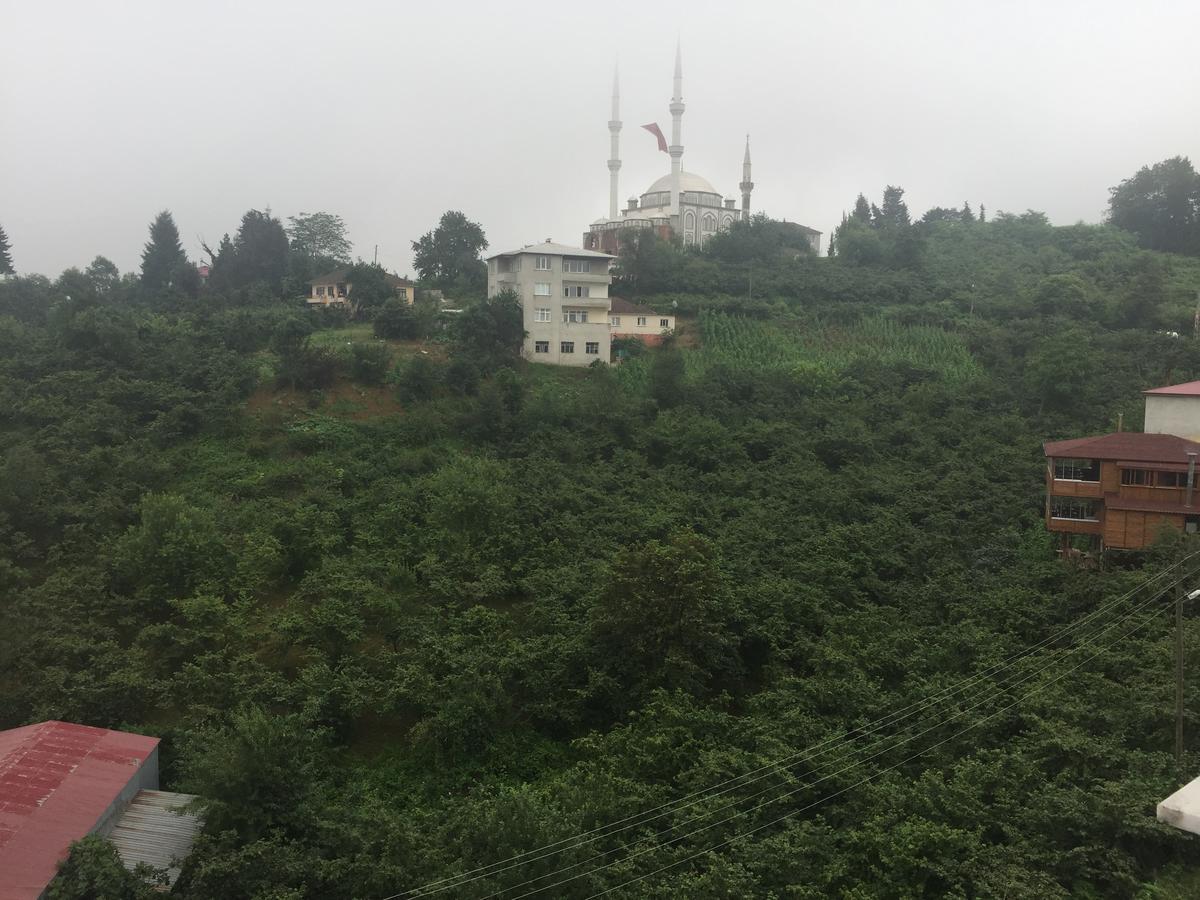 Nature & Trabzon