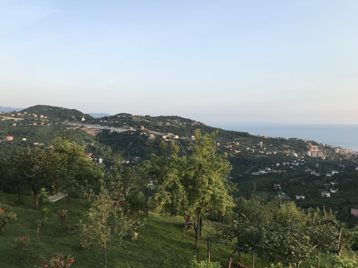 Sea & Nature Hisar * Trabzon