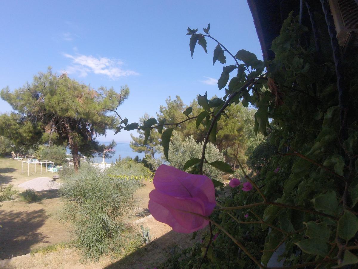 Rainbow Bay Ozdere