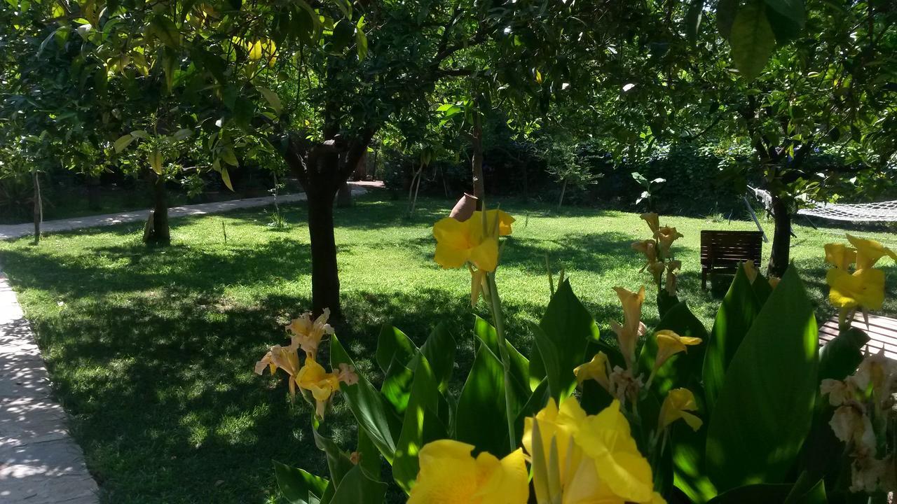 Hotel Yavuz