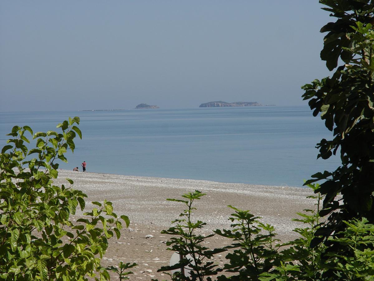 Yavuz * Cirali