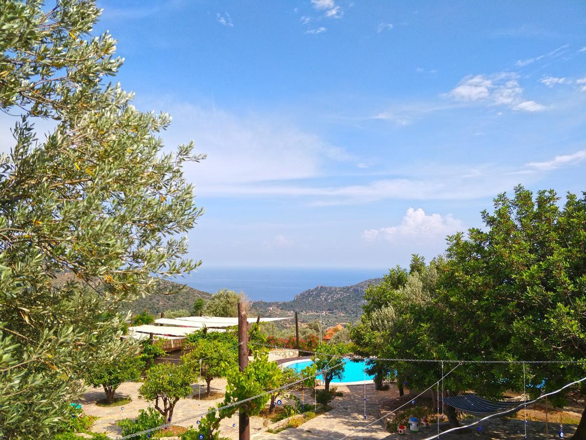 Zephyros Mesudiye (Datca)