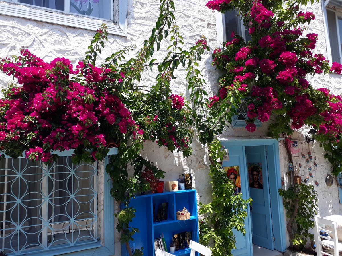 Alacati Frida *
