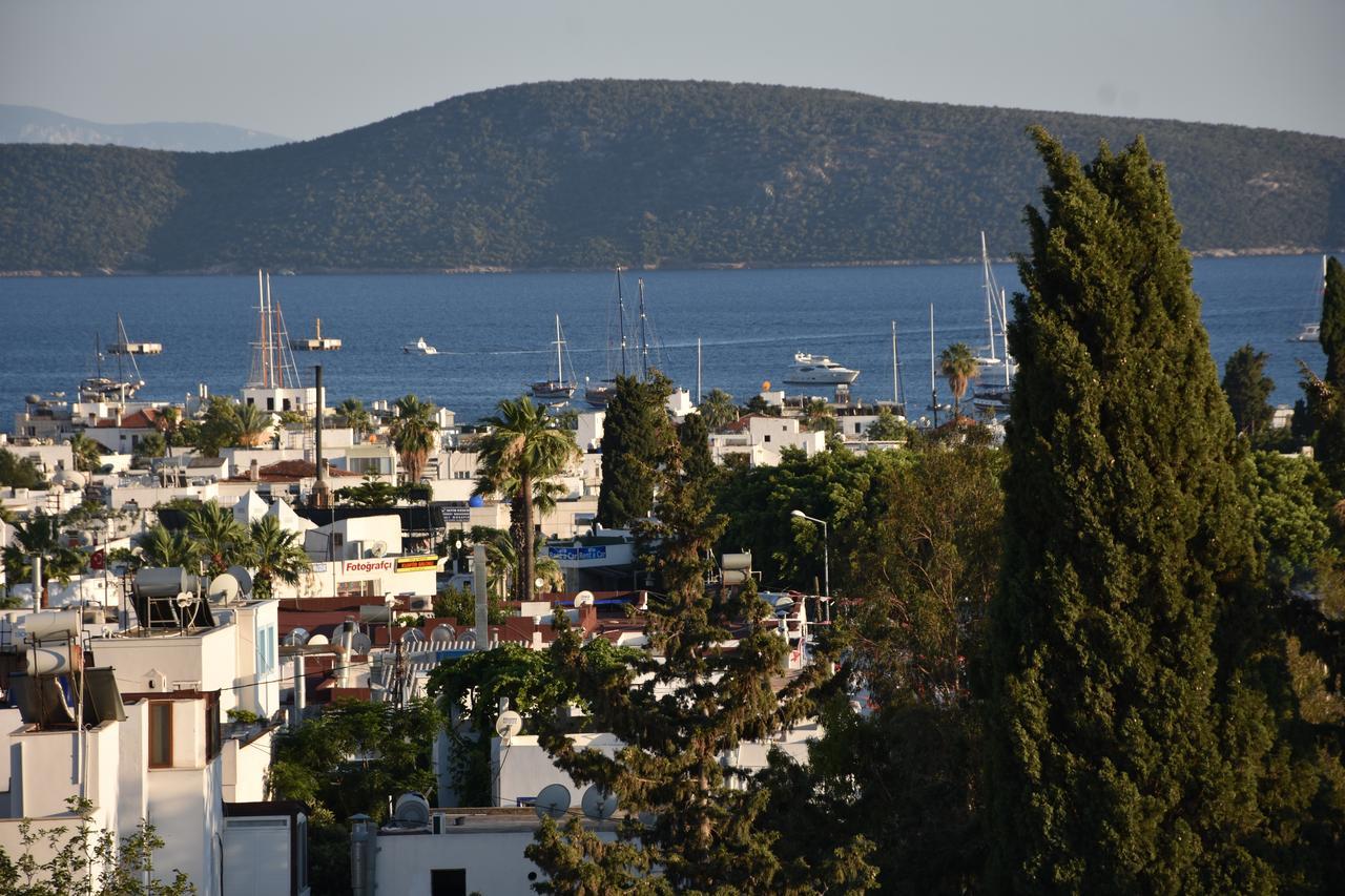Laden 3* Bodrum