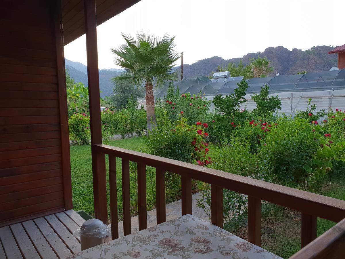 Guest house Estelar