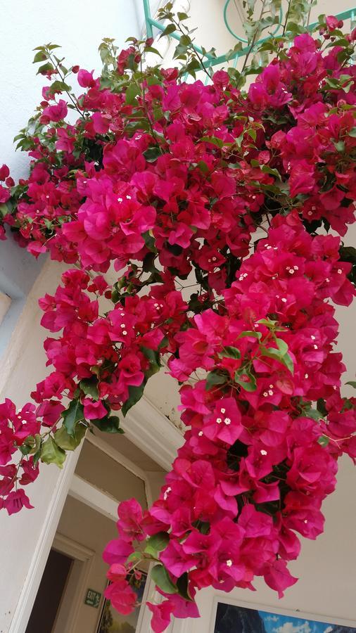 Evin Guest house 2*