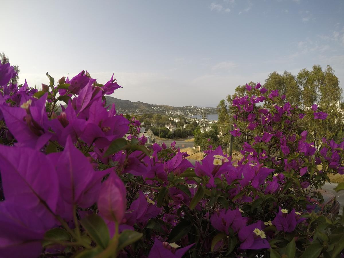 Hotel Panorama Bodrum 3*