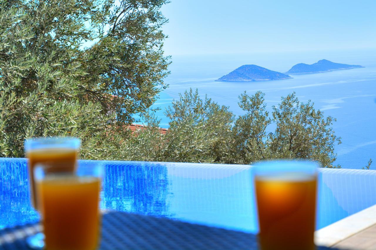 Gule Kalkan