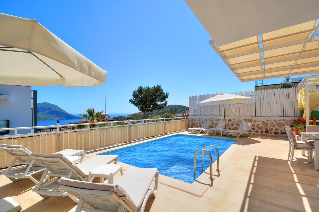 Olive-7 * Kalkan