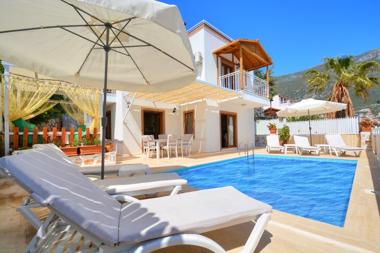 Olive-7 Kalkan