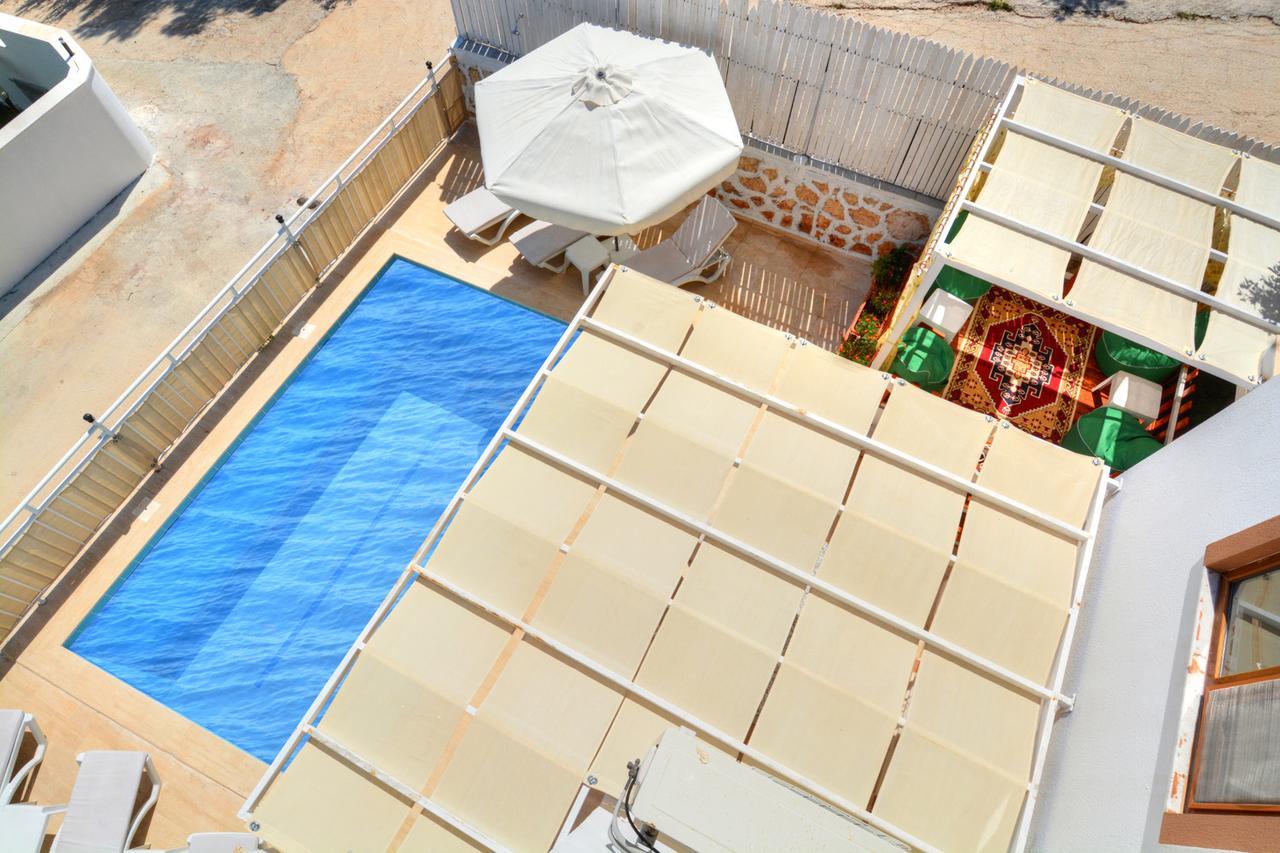 Olive-7 * Kalkan
