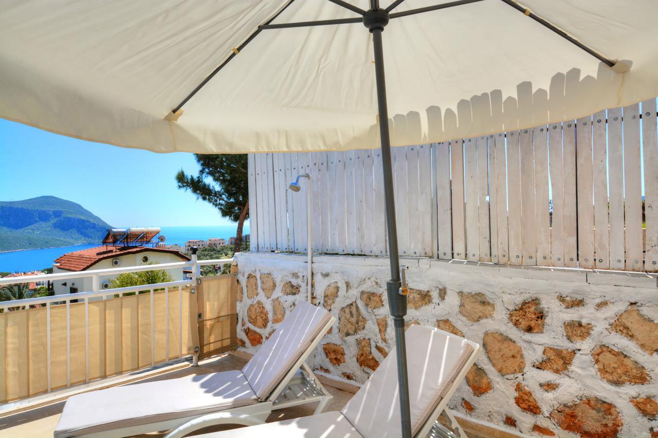 Olive-7 * Kalkan