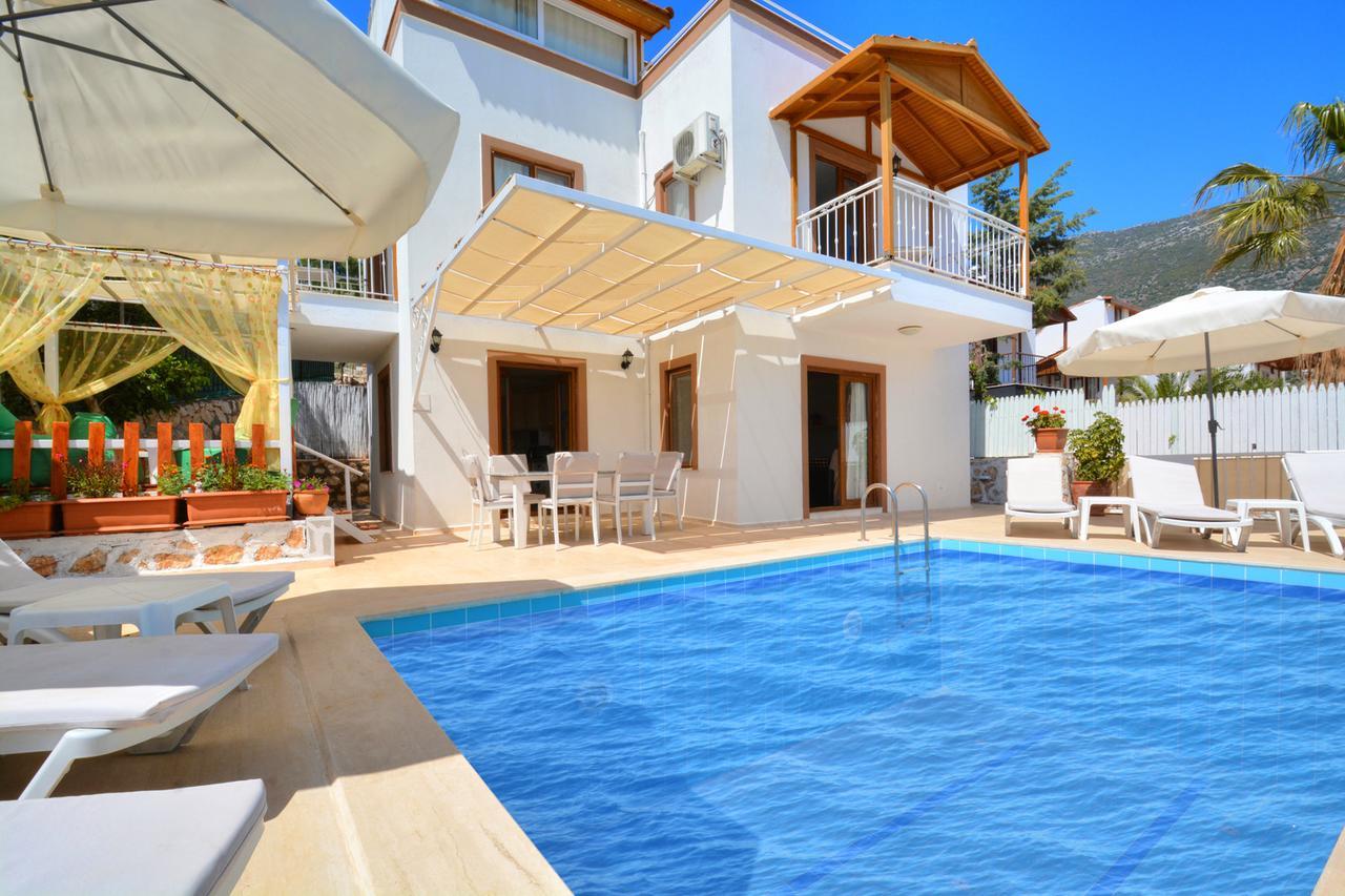 Olive-7 * Kalkan