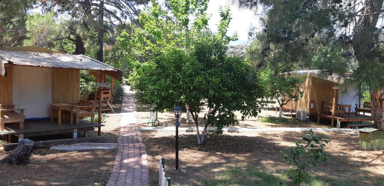 Secret Garden &