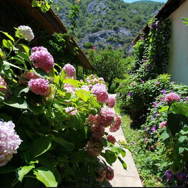 Aparthotel Dolunay *