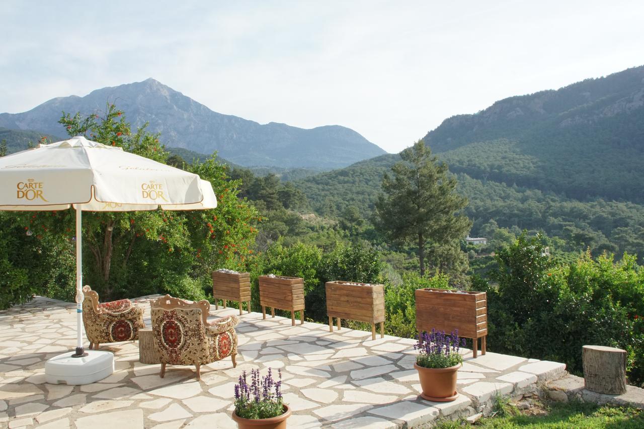 Hotel Lycia Nature House