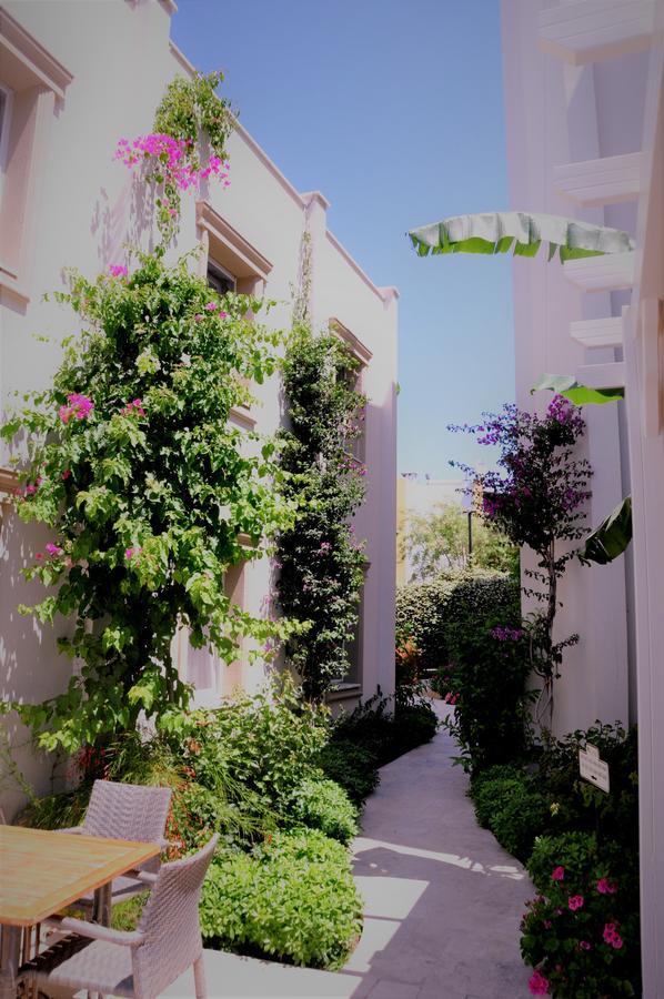 Hotel Olivias Group Gumbet