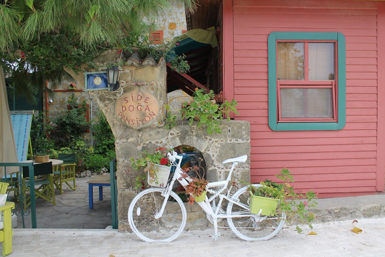 Guest house Doga Pension
